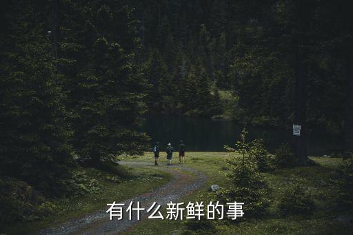 新鮮事物，有什么新鮮事