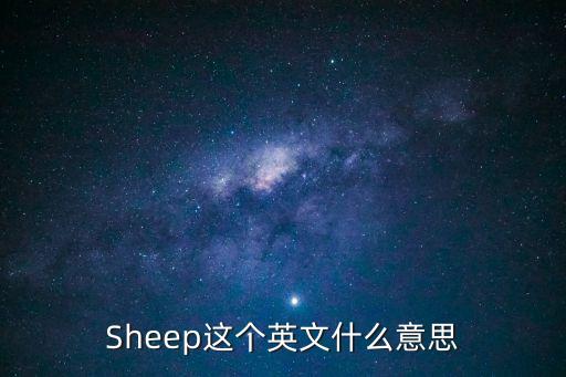 Sheep這個英文什么意思