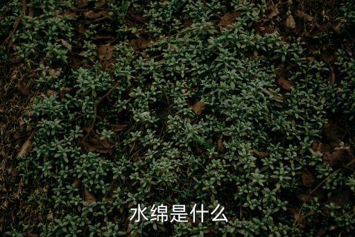  水綿是什么