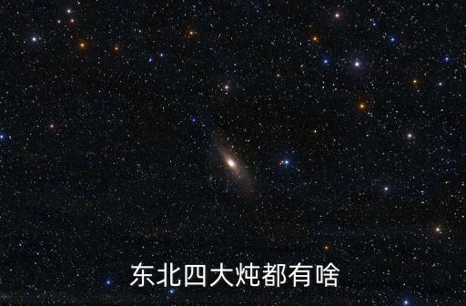  東北四大燉都有啥