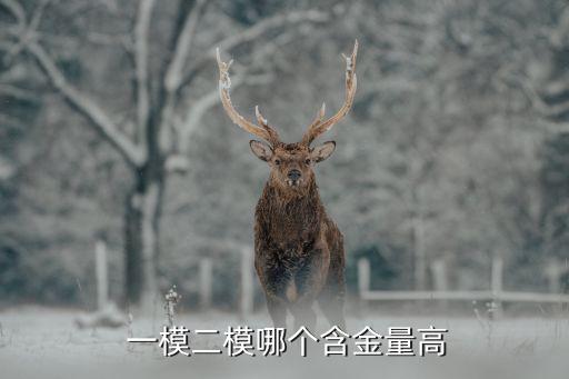 一模,一?？荚嚦煽儾挥绊懘髮W錄取