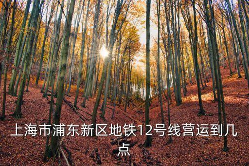 上海市地鐵12線時刻表，上海市浦東新區(qū)地鐵12號線營運到幾點