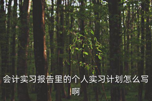 會計實習(xí)報告里的個人實習(xí)計劃怎么寫啊