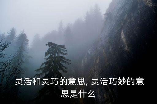  靈活和靈巧的意思, 靈活巧妙的意思是什么