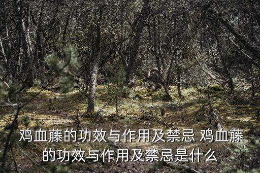 雞血藤功效,雞血藤治血虛月經失調痛經、頭暈