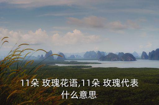 11朵 玫瑰花語,11朵 玫瑰代表什么意思