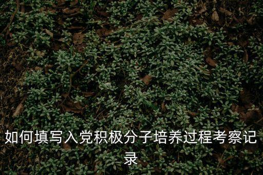 如何填寫入黨積極分子培養過程考察記錄