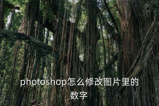photoshop怎么修改圖片里的數字