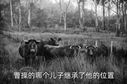  曹操的哪個兒子繼承了他的位置