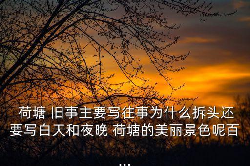 荷塘舊事,荷塘舊事系列之一