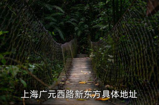 上海市廣元西路126號(hào)，上海廣元西路新東方具體地址