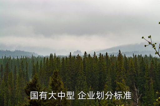  國有大中型 企業劃分標準