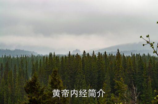 黃帝內經簡介，內經是什么