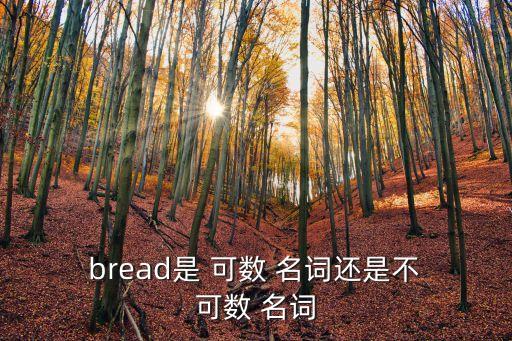  bread是 可數 名詞還是不 可數 名詞