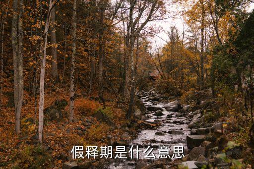 假釋期,第十九條有期徒刑緩刑考驗期限為假釋
