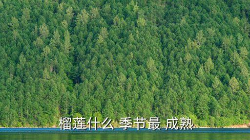  榴蓮什么 季節最 成熟