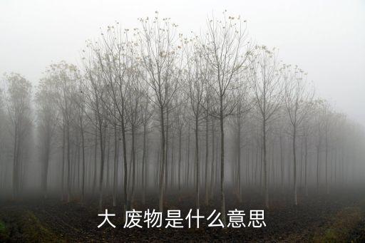 廢物是什么意思,da廢物是什么意思?
