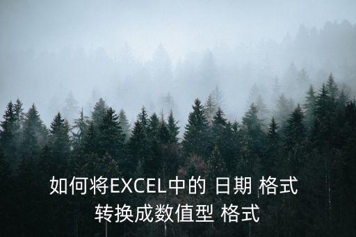 如何將EXCEL中的 日期 格式 轉換成數值型 格式