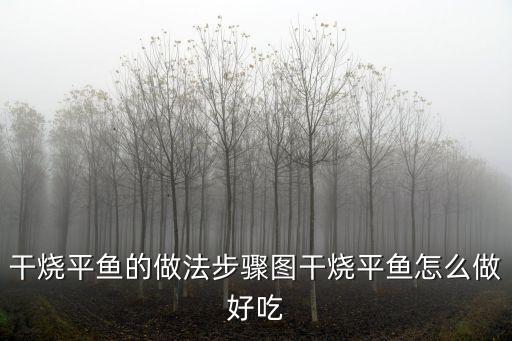 干燒平魚的做法步驟圖干燒平魚怎么做好吃
