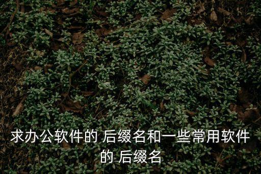 求辦公軟件的 后綴名和一些常用軟件的 后綴名