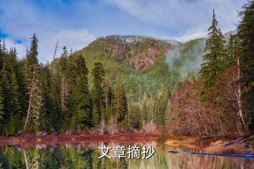 文章摘抄