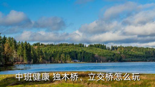 中班健康 獨木橋、立交橋怎么玩