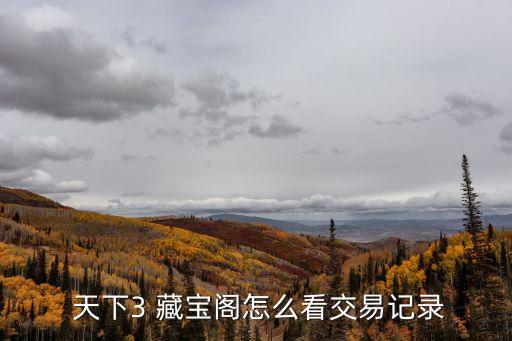 藏寶閣天下3,點擊快捷支付藏寶進行購物車結算
