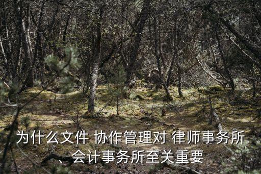 為什么文件 協(xié)作管理對 律師事務(wù)所、會計事務(wù)所至關(guān)重要