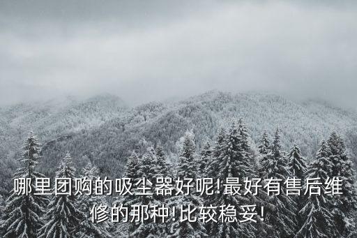 小狗電器旗艦店,吸塵器小狗飛利浦哪個好?答（19）