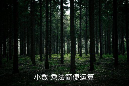 小數 乘法簡便運算