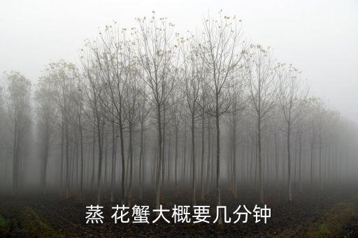 蒸 花蟹大概要幾分鐘