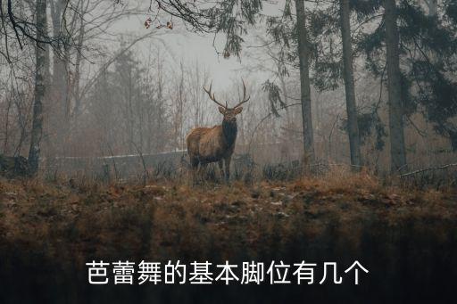 跳芭蕾舞的腳，芭蕾腳是怎樣的