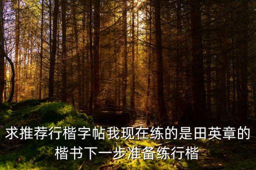 求推薦行楷字帖我現在練的是田英章的楷書下一步準備練行楷
