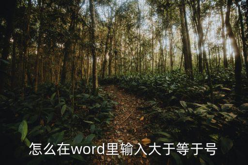 怎么在word里輸入大于等于號(hào)