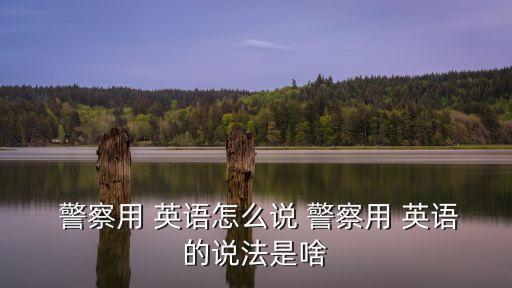 警察的英語怎么說,警察:泛指職業警察和警察