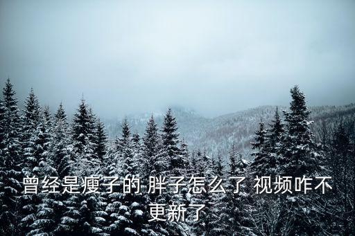 曾經是瘦子的 胖子怎么了 視頻咋不更新了
