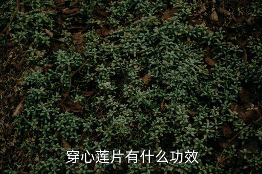 穿心蓮片,禁煙酒魚腥味的食物!