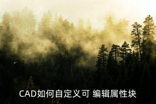 CAD如何自定義可 編輯屬性塊