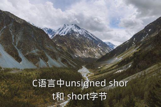C語言中unsigned short和 short字節