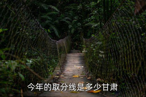 今年的取分線是多少甘肅