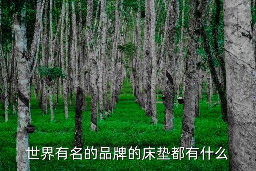 世界十大頂級床墊品牌，世界有名的品牌的床墊都有什么