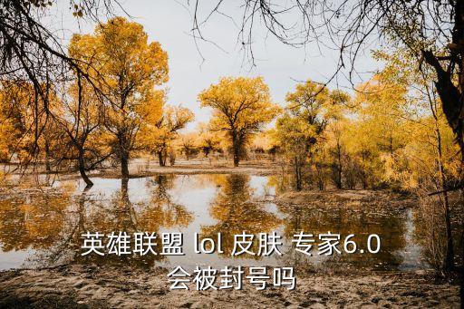 lol皮膚專家,游戲最新版本為9.6.3支持特效換膚