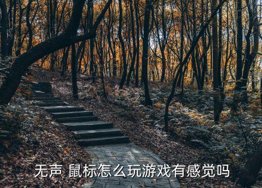 無聲鼠標,如何選擇無聲鼠標?