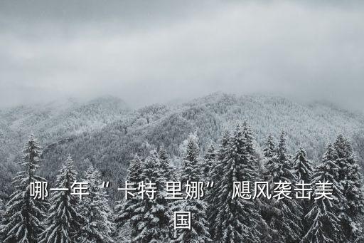 哪一年“ 卡特 里娜” 颶風襲擊美國