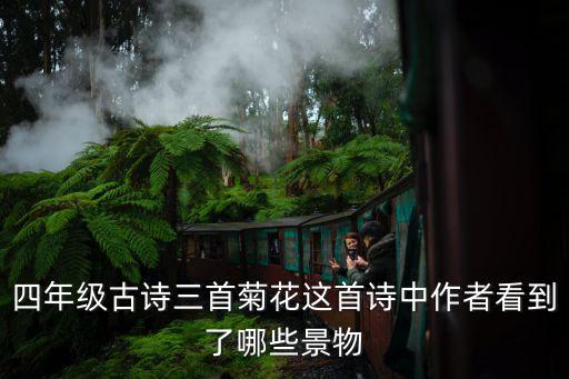四年級古詩三首菊花這首詩中作者看到了哪些景物