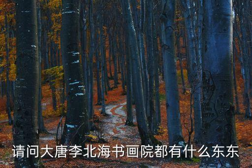 請問大唐李北海書畫院都有什么東東