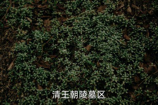 清朝陵墓，清朝皇帝所有陵墓具體在什么位置 那個省 那個市
