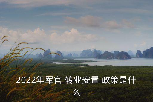 2022年軍官 轉(zhuǎn)業(yè)安置 政策是什么