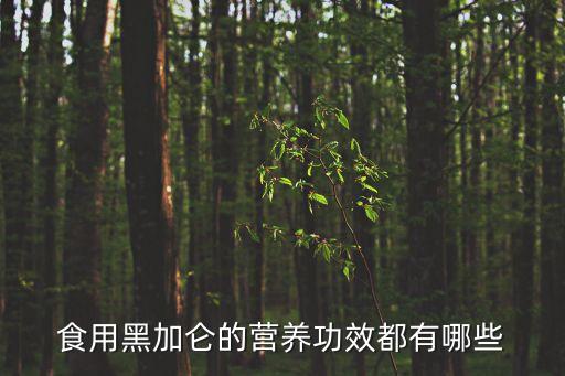 食用黑加侖的營養功效都有哪些