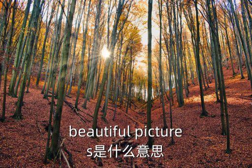 beautiful pictures是什么意思